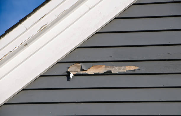 Best Property Management Cleanouts  in Cochituate, MA